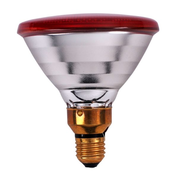 Philips - Infrarotlampe 100W