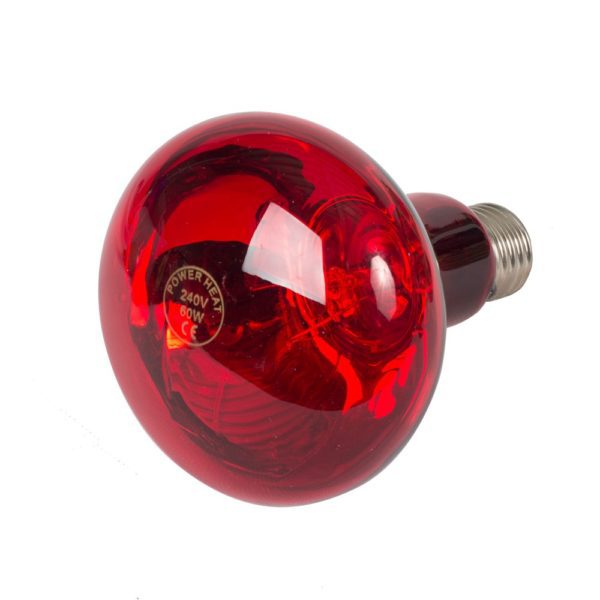 Powerheat - Ampoule infrarouge 100W – Image 2