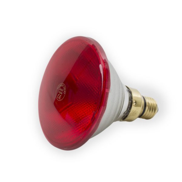 Powerheat - Ampoule infrarouge 100W