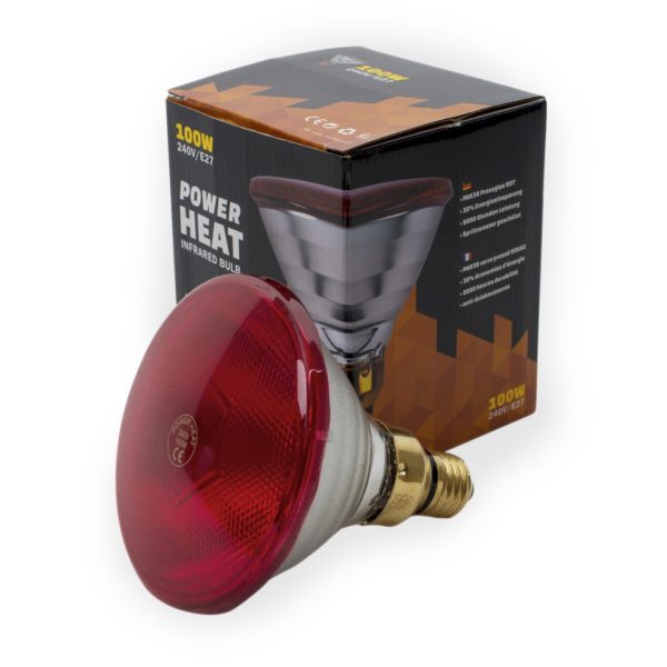 Powerheat - Ampoule infrarouge 100W – Image 2