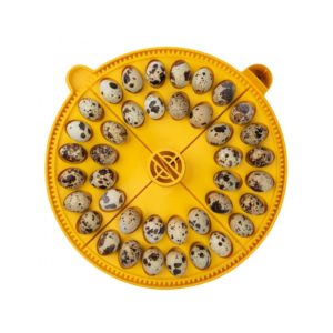 Brinsea - Quadrants à oeufs de caille pour couveuse Maxi (lot de 4)