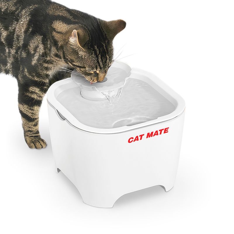 Cat Mate - Muschel-Trinkbrunnen für Haustiere, weiss, 3L - Swiss Pet  Supplies