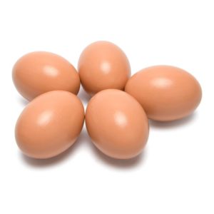 Oeuf factice en bois pour poule (1 pièce)