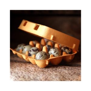 Boites en carton pour 12 oeufs de cailles - Orange (10 pièces)