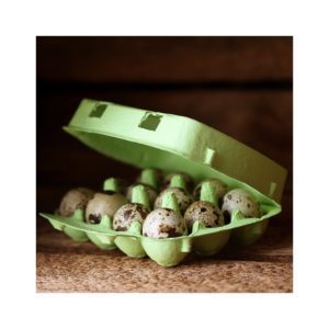 Boites en carton pour 12 oeufs de cailles - Vert (10 pièces)