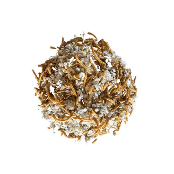 Mélange de vers de farine et de coquilles d’huîtres, 400g – Image 2