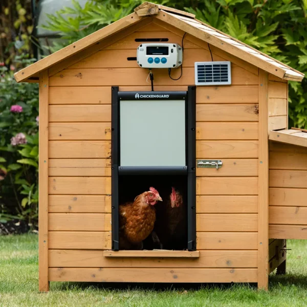 ChickenGuard PRO SOLAR Combi - Automatischer Türoffner + Tür – Bild 3