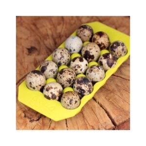 Support à oeufs de caille en silicone - Citron