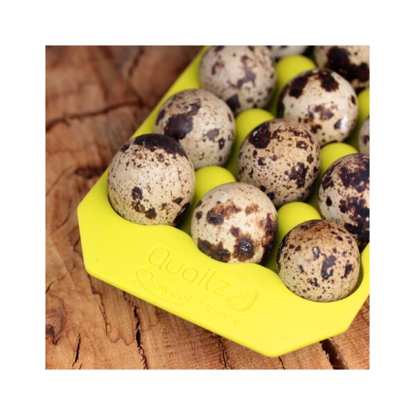 Support à oeufs de caille en silicone - Citron – Image 3