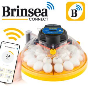 Brinsea - Brutgerät Maxi 24 EX CONNECT
