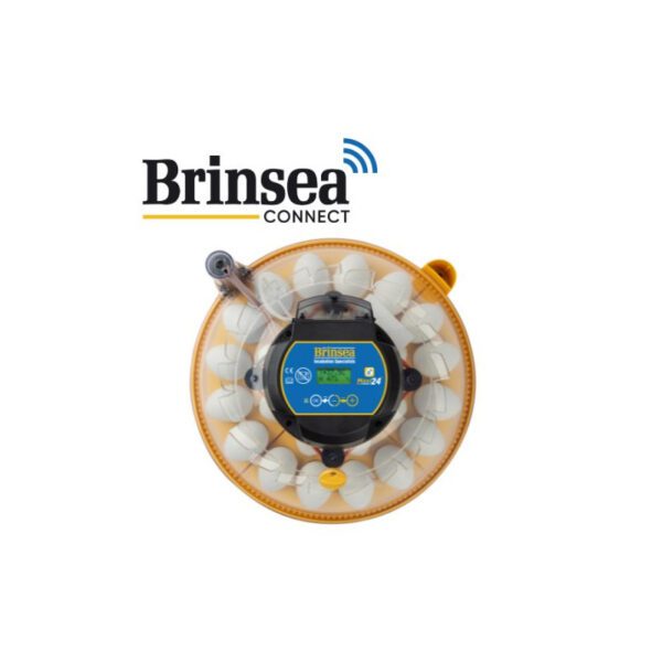 Brinsea - Brutgerät Maxi 24 EX CONNECT – Bild 2