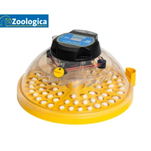 Brinsea - NEW Brutgerät Maxi 24 Zoologica