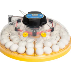 Brinsea - Brutgerät Maxi 48 EX 🆕