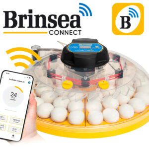 Brinsea - Brutgerät Maxi 48 EX CONNECT 🆕